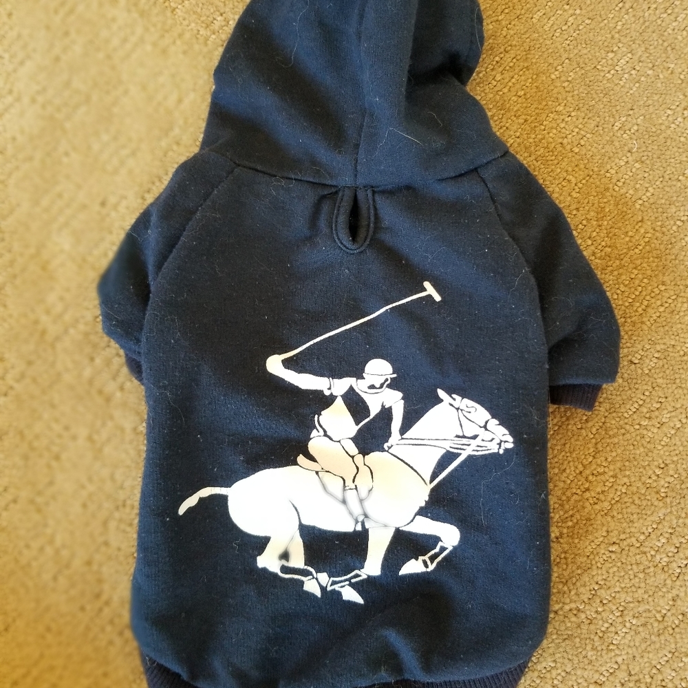 Dog Hoodie